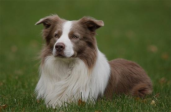 %e4%b8%81%e9%a6%99%e9%99%a8%e7%9f%b3