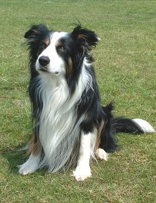 %e9%bb%91%e7%99%bd%e4%b8%89%e8%89%b2